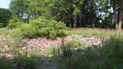 Photo from Back at the Barnyard