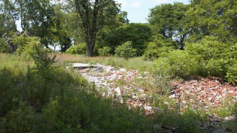 Back at the Barnyard - IMG_5296.jpg