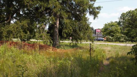 The path to the house/across the road