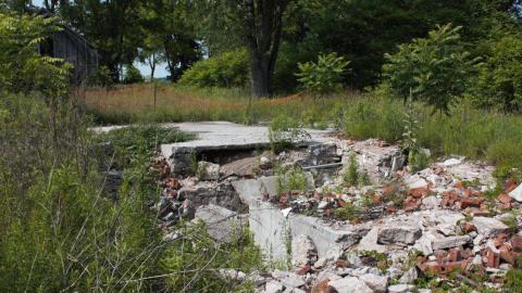 Photo from Back at the Barnyard