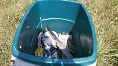 Back at the Barnyard - IMG_5313.jpg