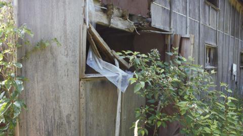 Photo from Back at the Barnyard