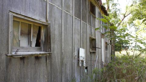 Back at the Barnyard - IMG_5318.jpg