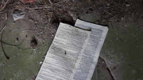 Back at the Barnyard - IMG_5324.jpg