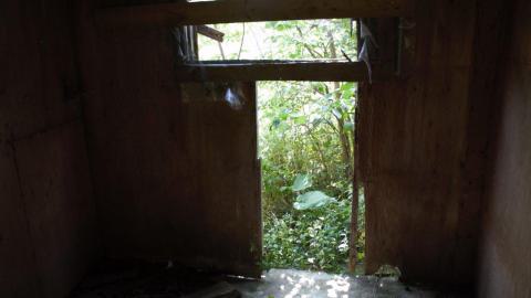 Photo from Back at the Barnyard