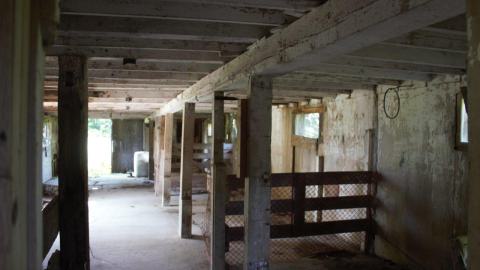 Back at the Barnyard - IMG_5331.jpg