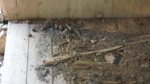 Back at the Barnyard - IMG_5336.jpg