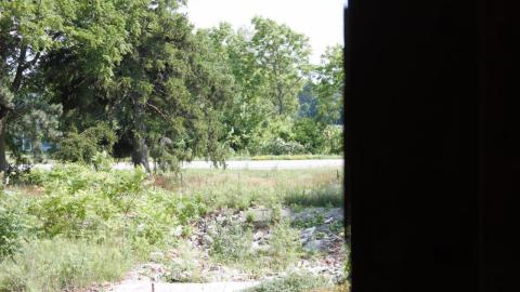 Back at the Barnyard - IMG_5338.jpg