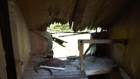 Back at the Barnyard - IMG_5339.jpg