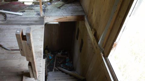 Back at the Barnyard - IMG_5341.jpg