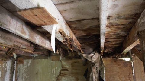 Back at the Barnyard - IMG_5345.jpg