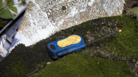 Back at the Barnyard - IMG_5373.jpg