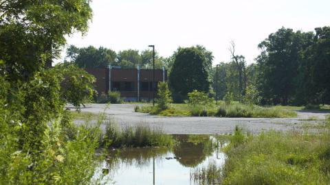 Ceramic Breakroom! - IMG_4602.jpg