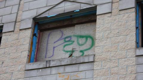 Mostly Rec'd - IMG_4850.jpg