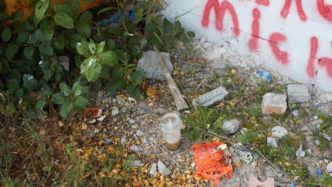 Mostly Rec'd - IMG_4851.jpg