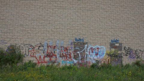 Mostly Rec'd - IMG_4853.jpg