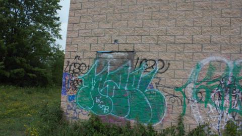 Mostly Rec'd - IMG_4854.jpg