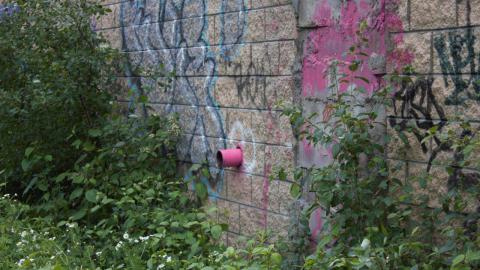 Photo from Mostly Rec'd