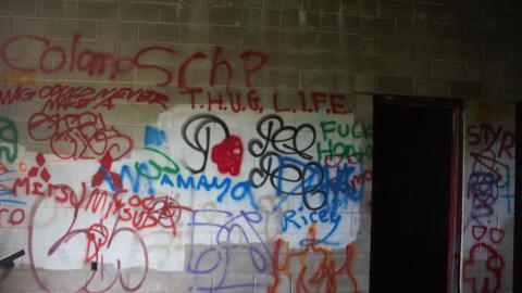 Mostly Rec'd - IMG_4865.jpg