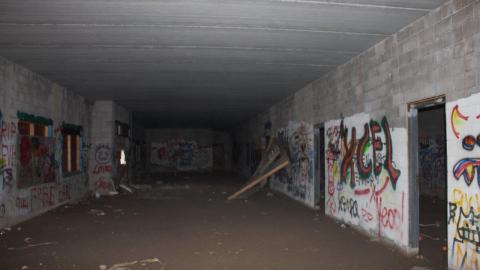 Mostly Rec'd - IMG_4870.jpg