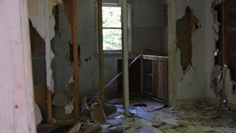 Floors, what floors photo 3