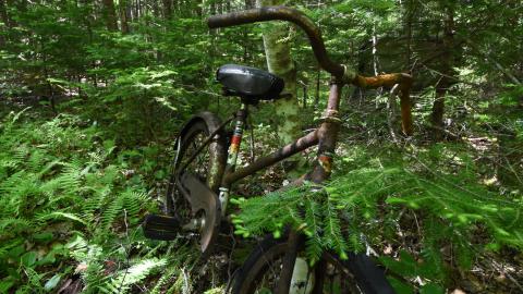 Floors, what floors - ADS_6261.JPG