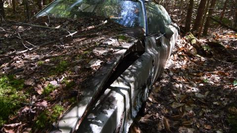 Floors, what floors - ADS_6276.JPG