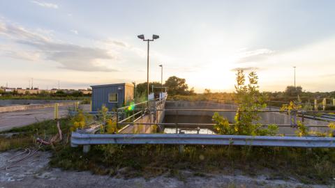 Come Out And Play - IMG_4794.JPG