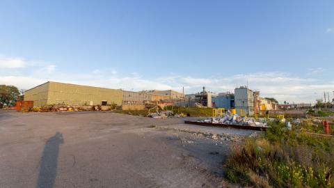 Come Out And Play - IMG_4795.JPG