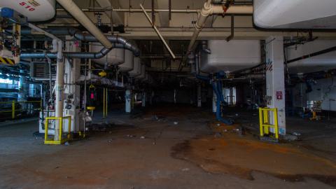 Come Out And Play - IMG_4811.JPG