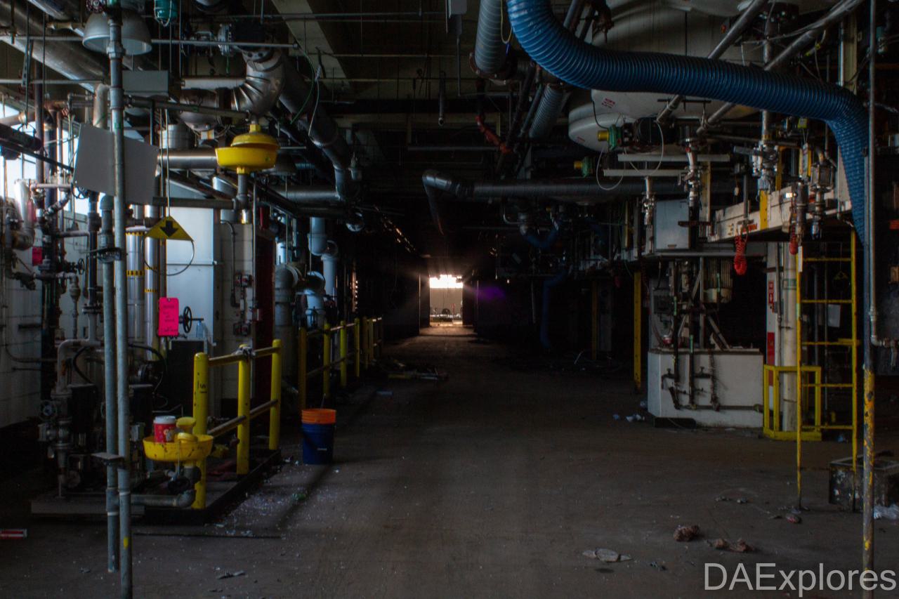 Come Out And Play - IMG_4814.JPG