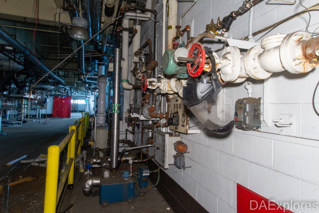 Come Out And Play - IMG_4817.JPG