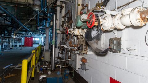 Come Out And Play - IMG_4817.JPG