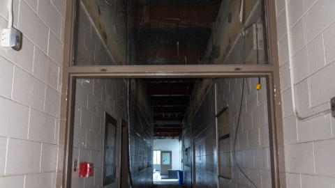 Come Out And Play - IMG_4818.JPG