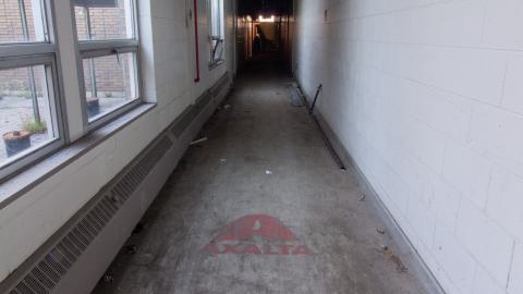 Come Out And Play - IMG_4827.JPG