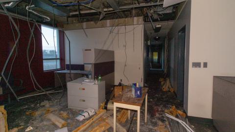 Come Out And Play - IMG_4835.JPG