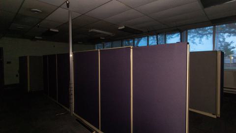 Come Out And Play - IMG_4842.JPG