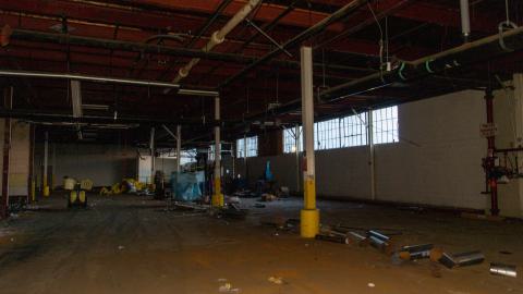 Come Out And Play - IMG_4849.JPG