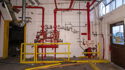 Come Out And Play - IMG_4851.JPG