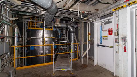 Come Out And Play - IMG_4852.JPG