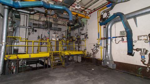 Come Out And Play - IMG_4855.JPG