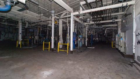 Come Out And Play - IMG_4867.JPG