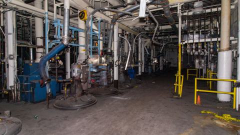 Come Out And Play - IMG_4868.JPG