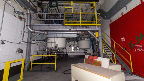 Come Out And Play - IMG_4873.JPG