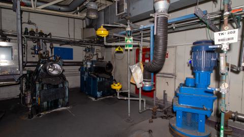 Come Out And Play - IMG_4874.JPG