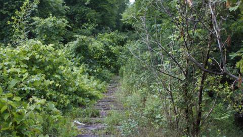 Bridge with abandoned RV - IMG_4938.jpg