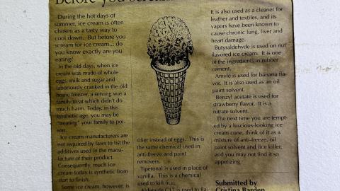 Decay - IMG_3826.JPG