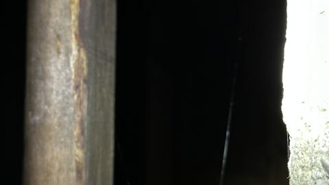 Decay - IMG_3843.JPG