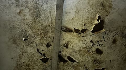 Decay - IMG_3849.JPG