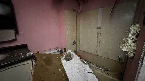 Decay - IMG_3864.JPG